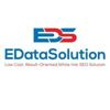 Hire     EDataSolution
